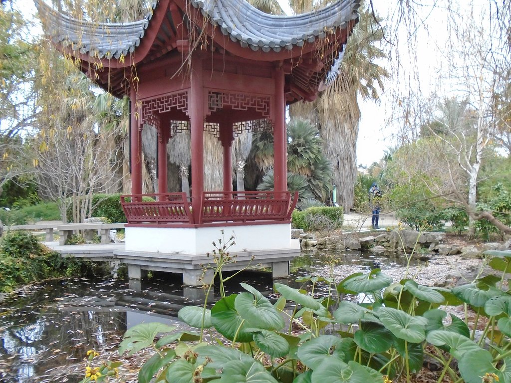 photo parc jardin botanique